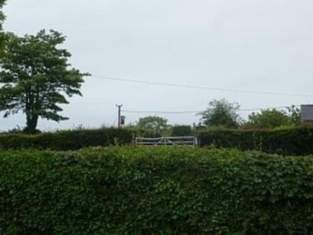 The Old Shop Villa Llandyfrydog Esterno foto
